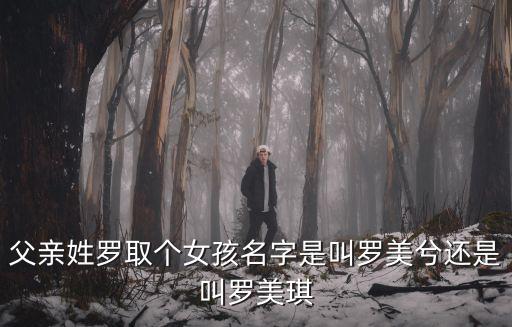 父親姓羅取個女孩名字是叫羅美兮還是叫羅美琪