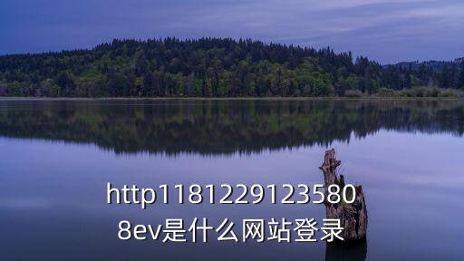 http11812291235808ev是什么網站登錄