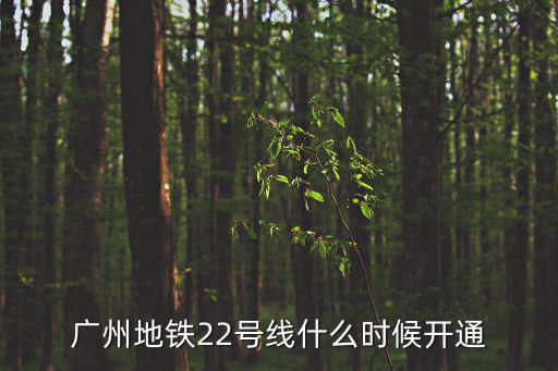 廣州地鐵22號(hào)線(xiàn)什么時(shí)候開(kāi)通