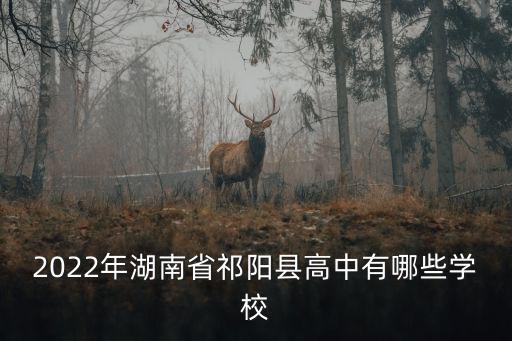 湖南祁陽，祁陽是什么地方
