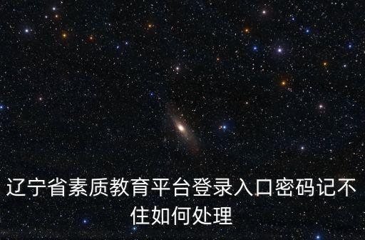 遼寧省素質(zhì)教育平臺(tái)登錄入口密碼記不住如何處理