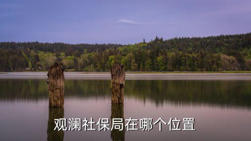 觀瀾社保局在哪個位置