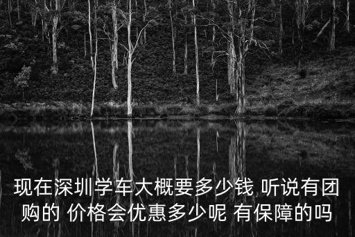 深圳學車團購，深圳學車團購網