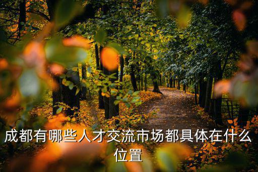 成都人才市場，成都比較好的人才市場