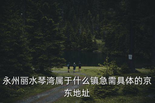 永州麗水琴灣屬于什么鎮急需具體的京東地址