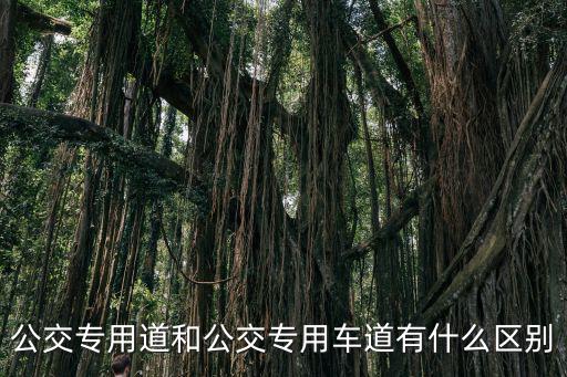 公交專用道和公交專用車道有什么區別