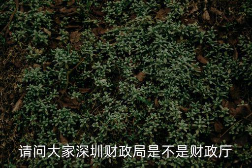 請問大家深圳財政局是不是財政廳