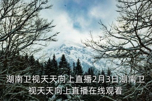 湖南衛視天天向上直播2月3日湖南衛視天天向上直播在線觀看
