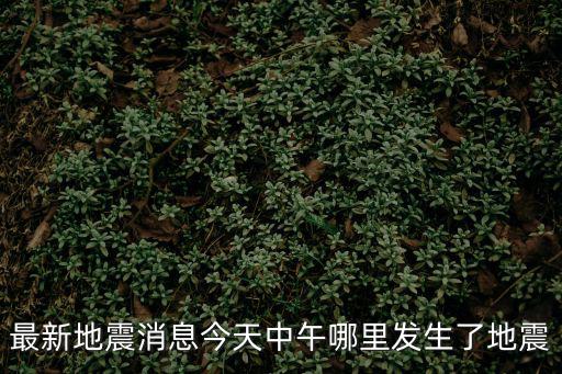 最新地震消息，最新地震消息今天中午哪里發(fā)生了地震