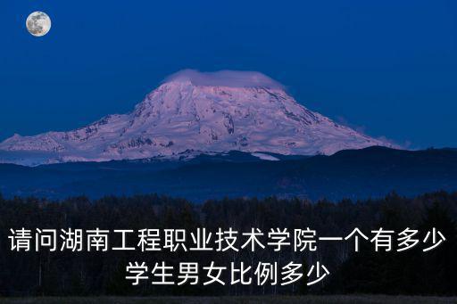 請問湖南工程職業技術學院一個有多少學生男女比例多少