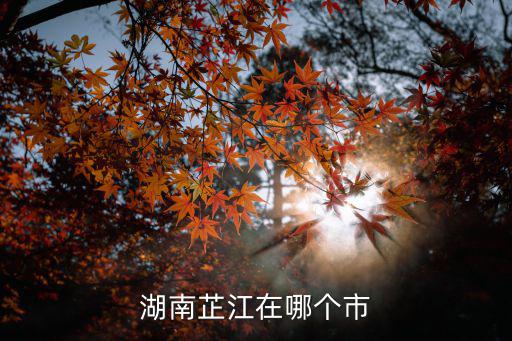 湖南芷江在哪個市