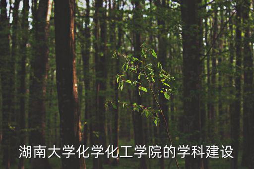 湖南大學(xué)化學(xué)化工學(xué)院的學(xué)科建設(shè)