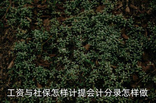 工資與社保怎樣計提會計分錄怎樣做