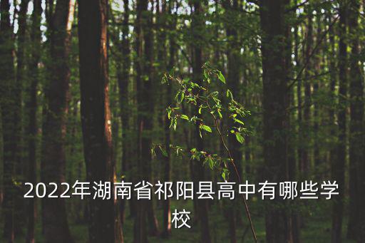 2022年湖南省祁陽縣高中有哪些學校