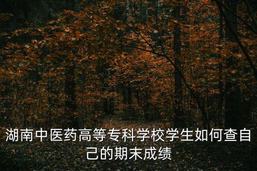 湖南中醫(yī)藥大學(xué)教務(wù)系統(tǒng)，湖南中醫(yī)藥高等專科學(xué)校學(xué)生如何查自己的期末成績