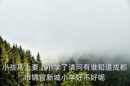 錦官新城小學，小孩馬上要上小學了請問有誰知道成都市錦官新城小學好不好呢