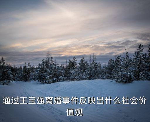通過王寶強離婚事件反映出什么社會價值觀