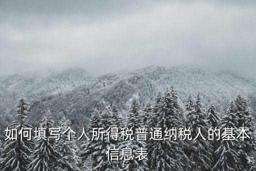 如何填寫個人所得稅普通納稅人的基本信息表