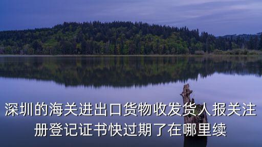 深圳海關官網，深圳的海關進出口貨物收發貨人報關注冊登記證書快過期了在哪里續