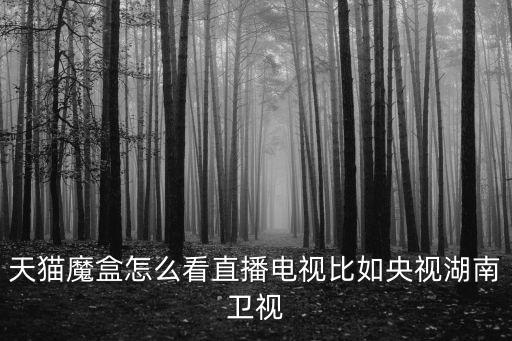 湖南衛視直播在線直播，湖南衛視12點35正在直播的電視劇 視頻