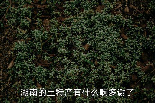 湖南的土特產有什么啊多謝了