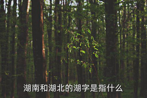 湖南和湖北的湖字是指什么