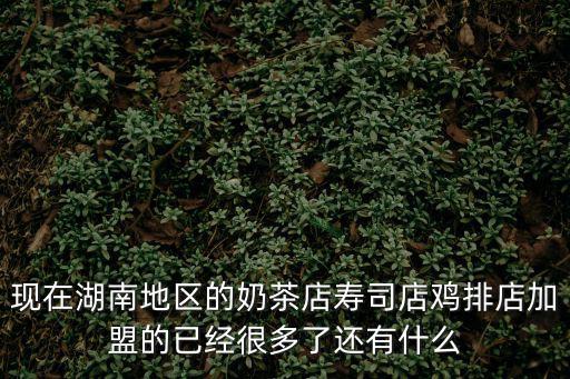 現在湖南地區的奶茶店壽司店雞排店加盟的已經很多了還有什么