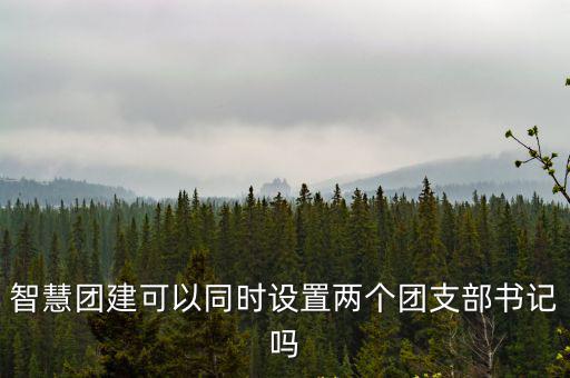 智慧團建可以同時設置兩個團支部書記嗎