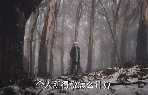 個人所得稅怎么計算