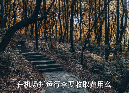 在機場托運行李要收取費用么