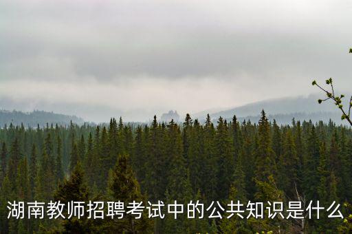 湖南教師招聘考試中的公共知識是什么