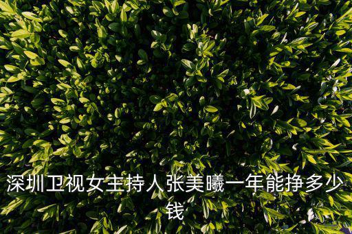 深圳衛視女主持人張美曦一年能掙多少錢
