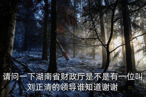 湖南省財政廳，請問一下湖南省財政廳是不是有一位叫劉正清的領導誰知道謝謝