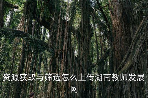 湖南教師發展網，澳大利亞護照的背景是什么顏色的