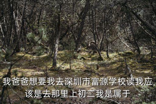 我爸爸想要我去深圳市富源學校讀我應(yīng)該是去那里上初二我是屬于