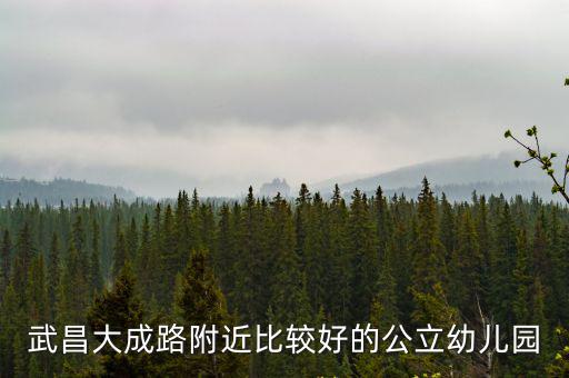 武昌大成路附近比較好的公立幼兒園