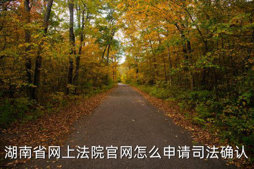 湖南省網上法院官網怎么申請司法確認