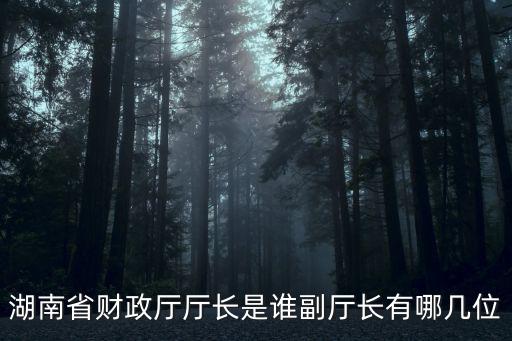 湖南省財政廳廳長是誰副廳長有哪幾位