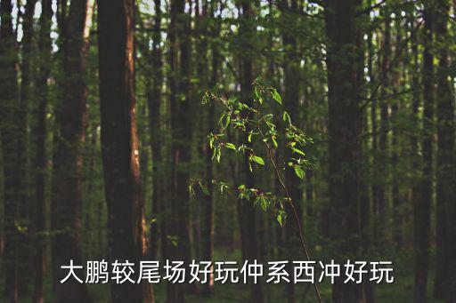 大鵬較尾場好玩仲系西沖好玩