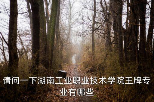 湖南工業職業技術學院，請問一下湖南工業職業技術學院王牌專業有哪些