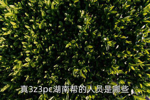真3z3pc湖南幫的人員是哪些
