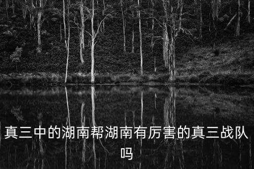 真三中的湖南幫湖南有厲害的真三戰(zhàn)隊(duì)嗎