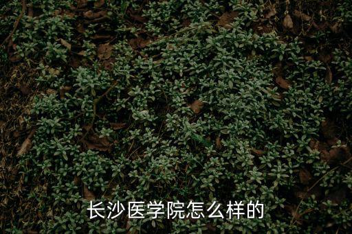 湖南長沙醫(yī)學(xué)院，長沙醫(yī)學(xué)院怎么樣的