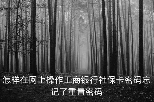 社保卡忘記密碼，怎樣在網(wǎng)上操作工商銀行社保卡密碼忘記了重置密碼
