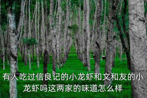 有人吃過信良記的小龍蝦和文和友的小龍蝦嗎這兩家的味道怎么樣