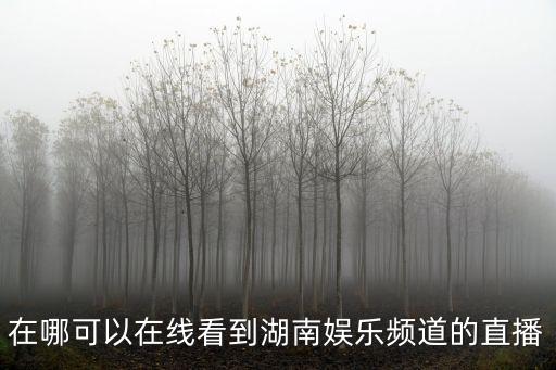 在哪可以在線看到湖南娛樂頻道的直播