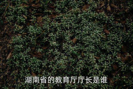 湖南省教育廳廳長，湖南教育廳廳長是誰