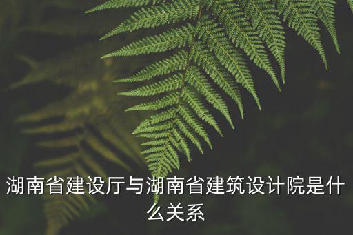 湖南省建設廳與湖南省建筑設計院是什么關系