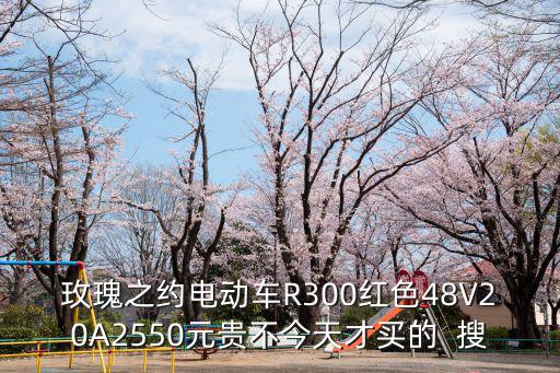 玫瑰之約電動(dòng)車R300紅色48V20A2550元貴不今天才買的  搜