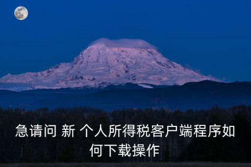 個人所得稅客戶端，急請問 新 個人所得稅客戶端程序如何下載操作